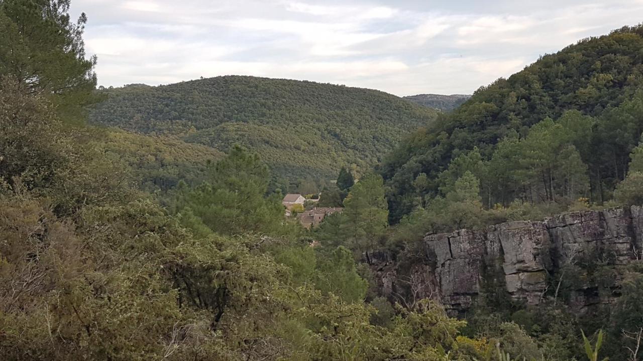 Le Clos Du Cedre Saint-Sebastien  Экстерьер фото